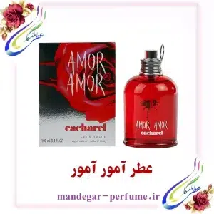 عطر آمور آمور
